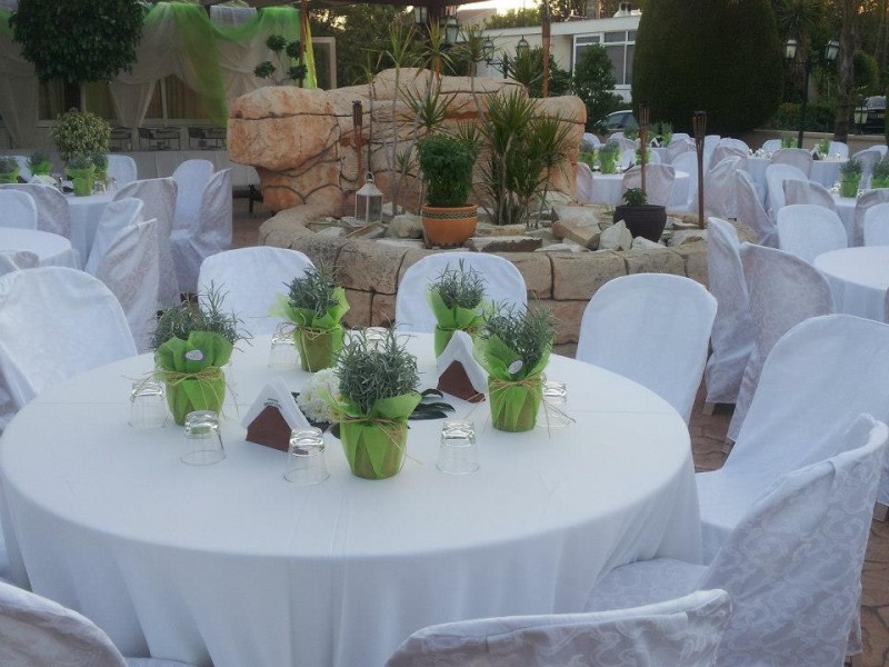 221983_398842913541402_1719961096_n