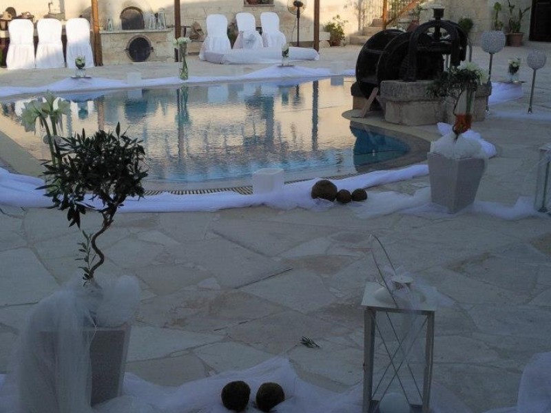 539855_406892939403066_430485104_n