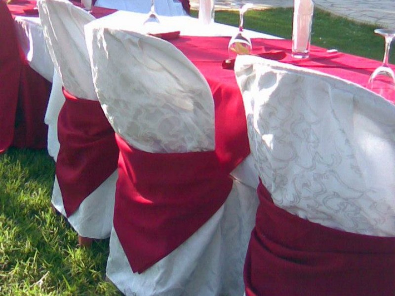 579714_406892959403064_434888263_n