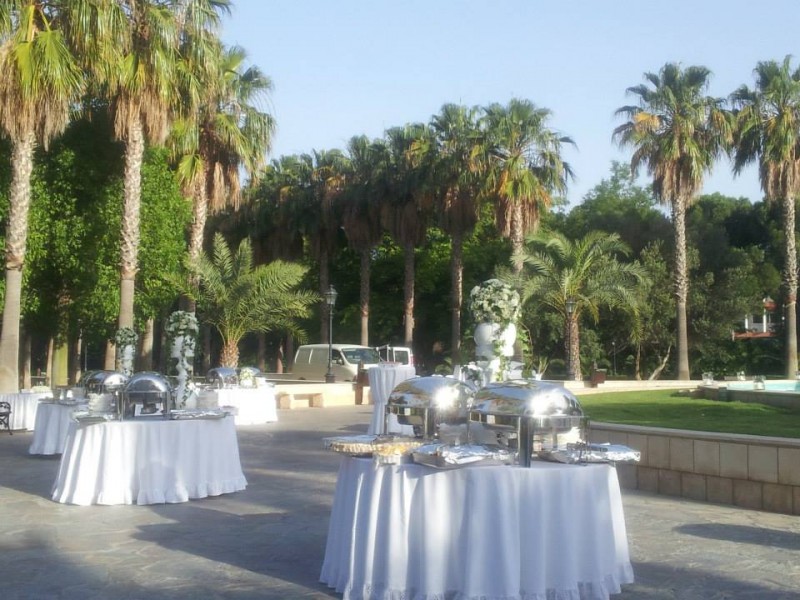 998123_459332267492466_556208947_n