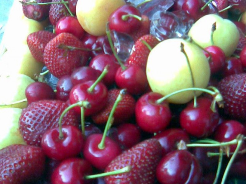 487875_406893202736373_1065726938_n